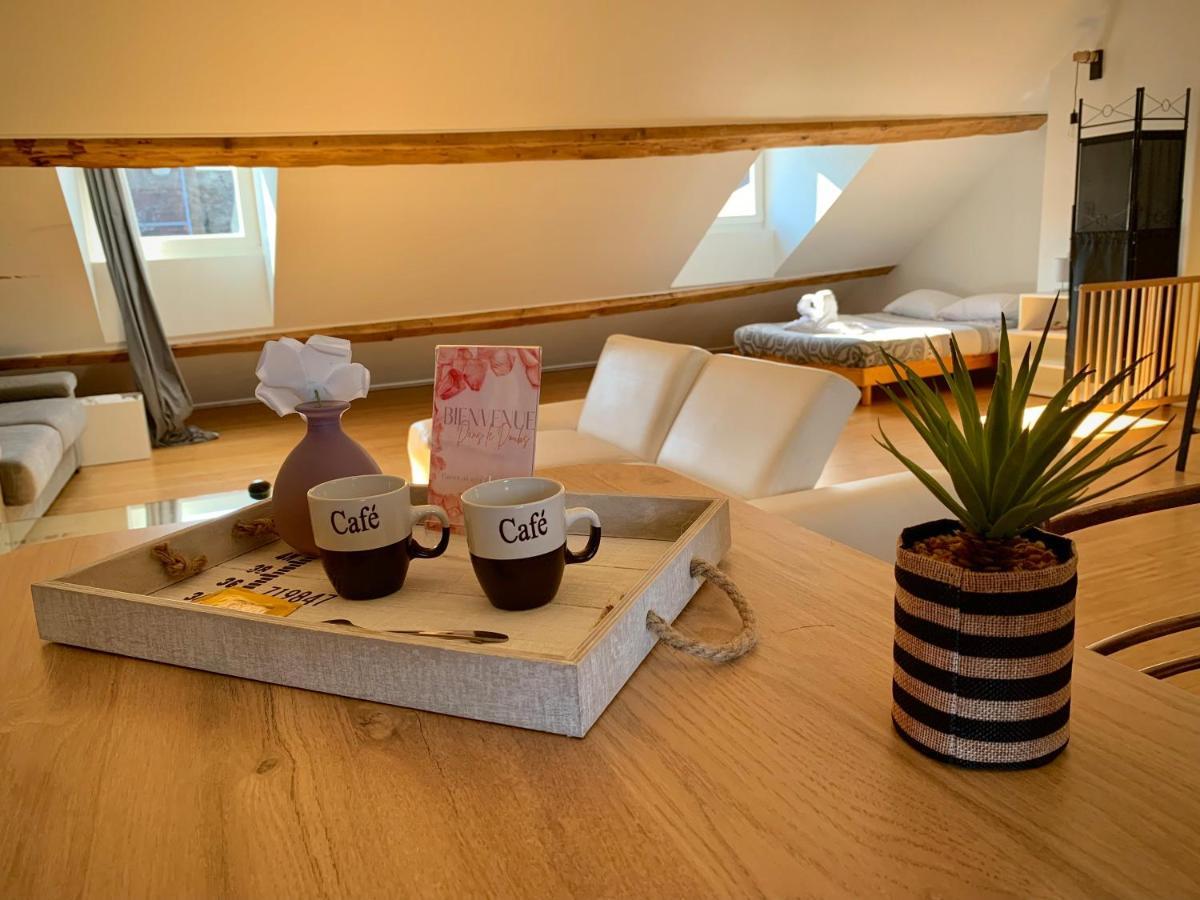 Les Fabuleux Appartements Du Coeur De Ville - Place Victor Hugo Μπεζανσόν Εξωτερικό φωτογραφία
