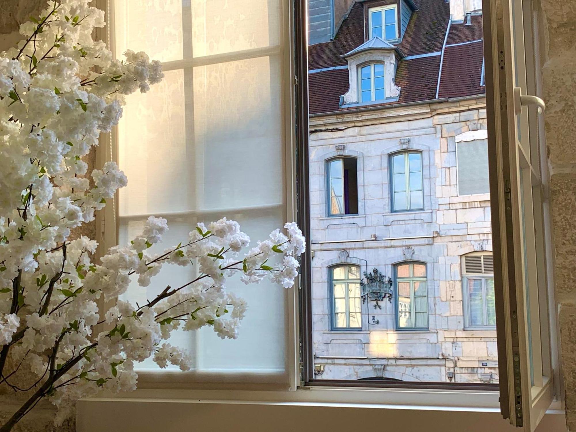 Les Fabuleux Appartements Du Coeur De Ville - Place Victor Hugo Μπεζανσόν Εξωτερικό φωτογραφία